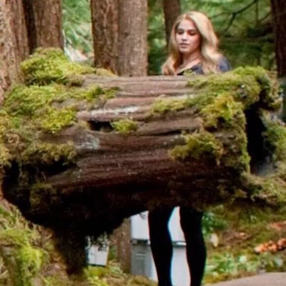 Rebecca Taylor Navy Black Dress ASO Rosalie Hale - Picture 2 of 9